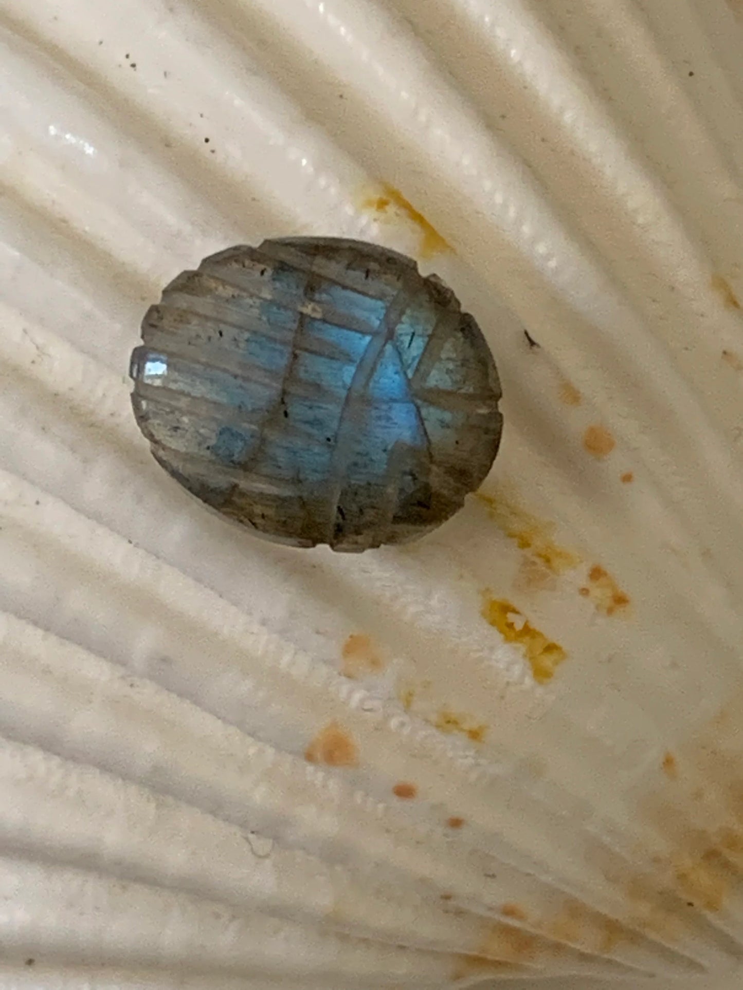 Scarabée 12 x 10mm en gemme naturelle, scarabée taillé sur la gemme