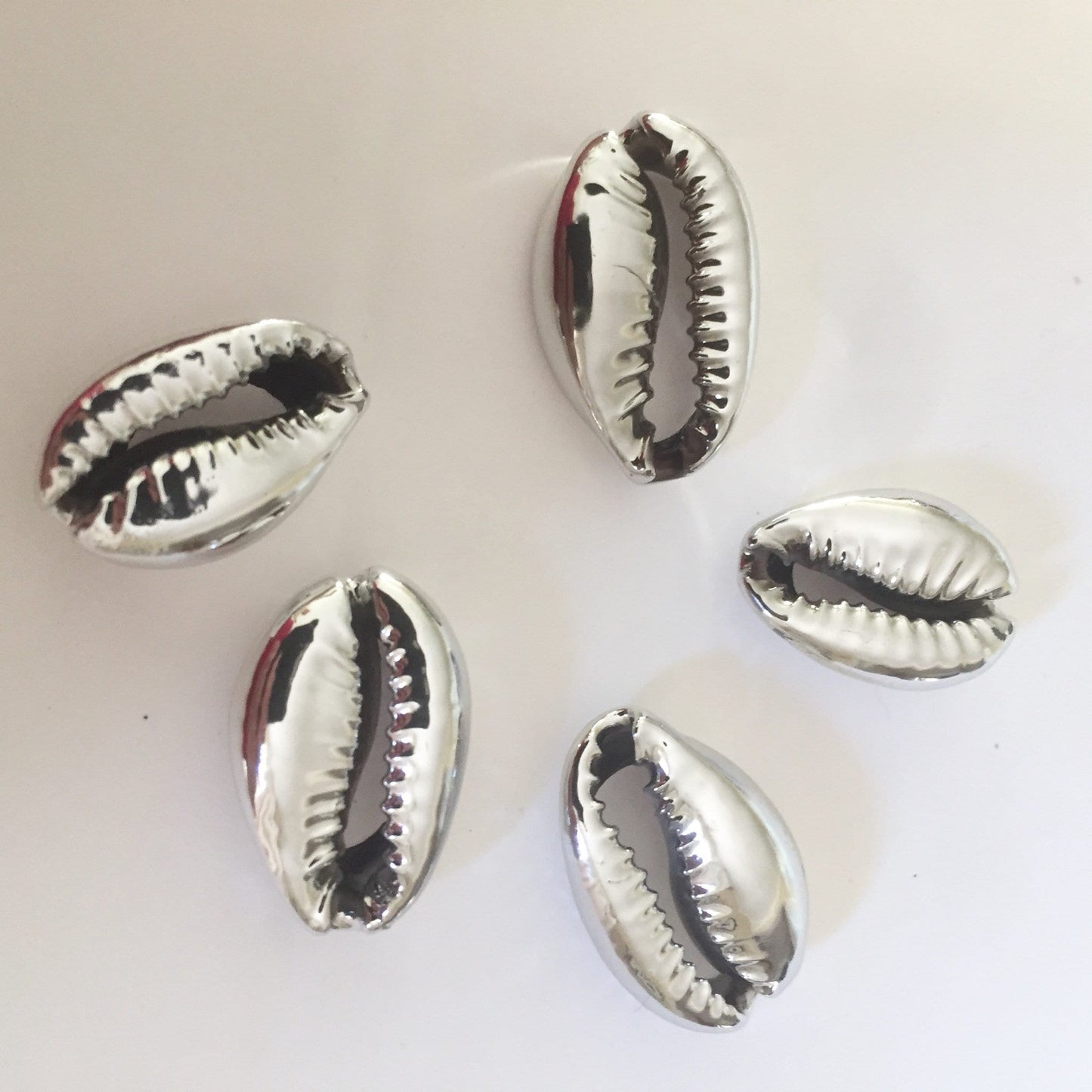 Lot 2 Cauris naturels argentés 18-20 mm, cowrie Pacifique Sud naturel