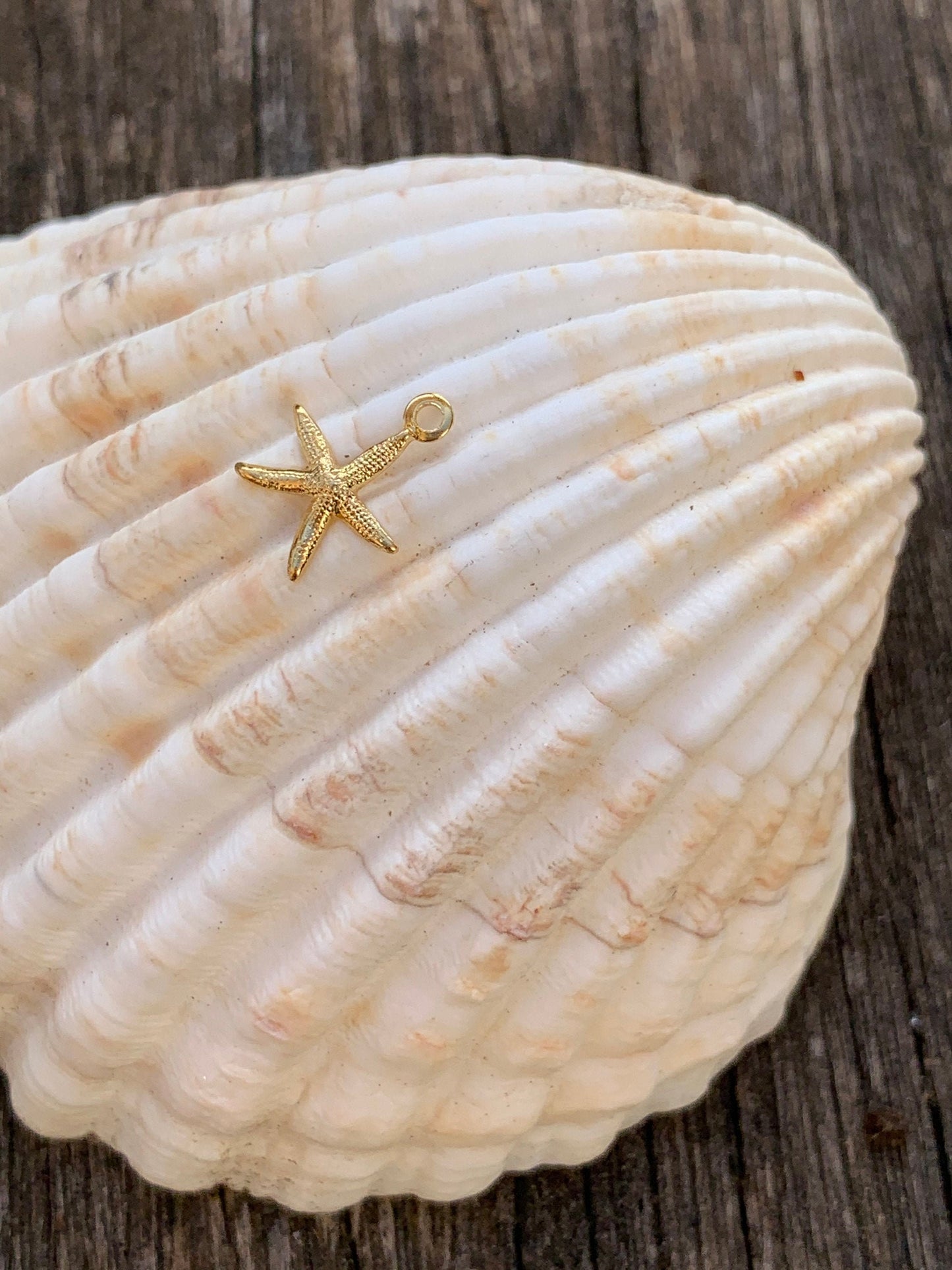 Étoile de mer plaqué or 11mm plaqué or 24 carats, étoile mer plaqué or 24 K