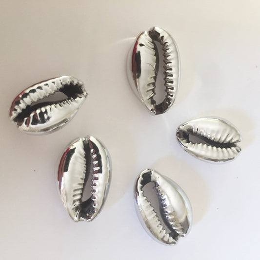 Lot 2 Cauris naturels argentés 18-20 mm, cowrie Pacifique Sud naturel